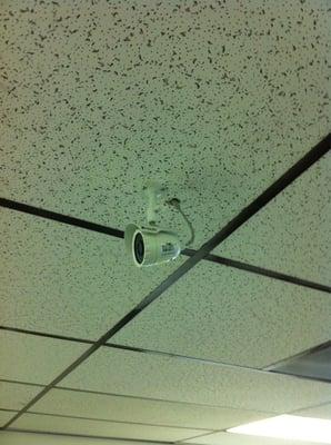 Security Cameras