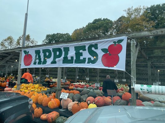 McTighe's Garden Center