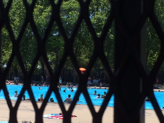 Packed pool. It's hot out. 07/02/17