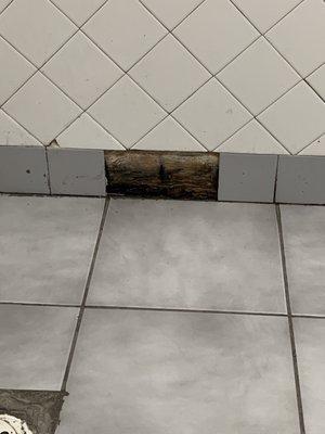 Black mold in the men's room