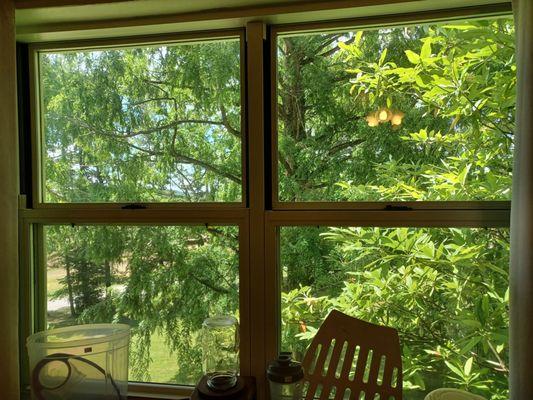 View from one of the rooms.