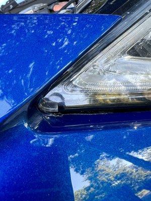 Drivers side headlight looks like the bumper was pressed into it