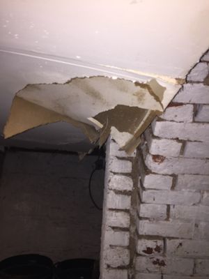 Water seepage from a consistent leak can result in mold growth behind the walls that you can't see