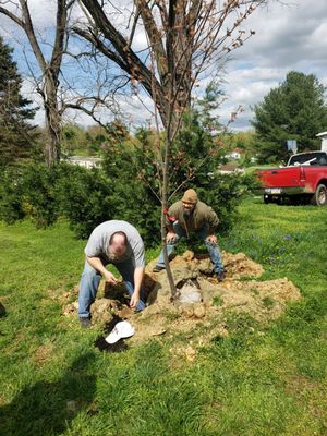 Trees of Life & Love are planted in honor of peoples pets and loved ones!