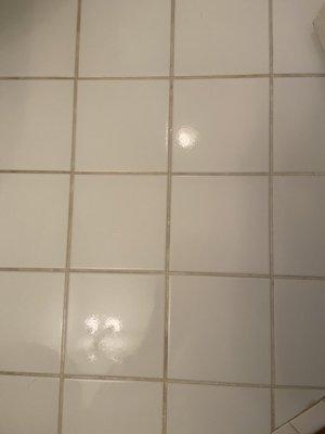 Before and after of a tile grout cleaning!