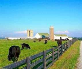 Lytton Farm Equipment Co.