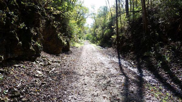 Badger State Trail between Monticello and Belleville WI