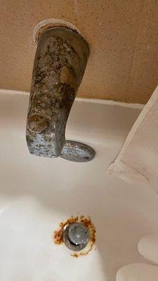 Nasty faucet and drain