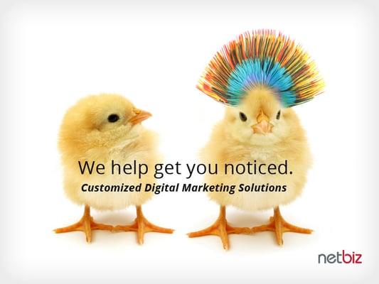 NetBiz helps your business get noticed with customized digital marketing solutions.