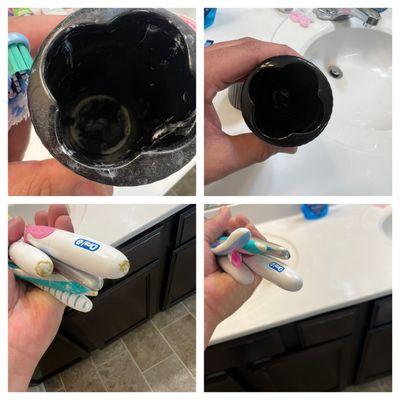 Before & after toothbrush holder and bottom of toothbrushes