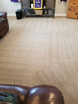 Pet stains were everywhere so we applied our "Fire" Package and the results speak for themselves.