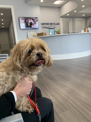 Here to see our favorite vet !