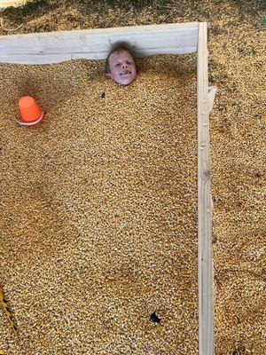 Corn kernel box. Deep enough to bury your kids.