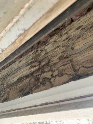 Termite mud in wood on home.