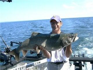 Nice Lake Trout