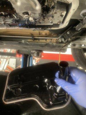 BMW Tranny Filter Replacement