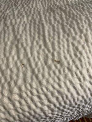 Burn holes in the bedding