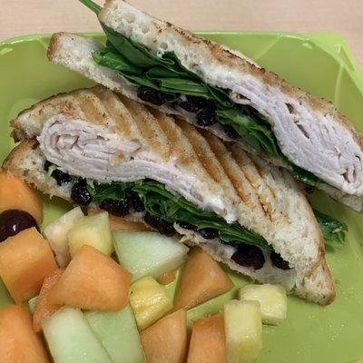 Turkey Cranberry Panini