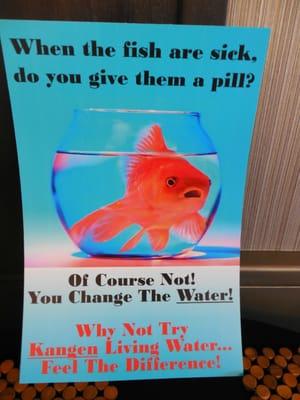 Would you give your sick fish a pill or would you change the water?