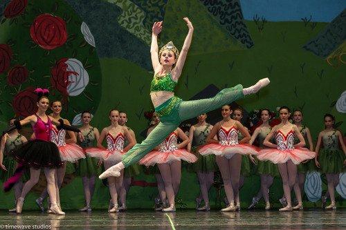 Courtesy of Timewave Studios Chandler Meyer performs the role of the Caterpillar during the Bountiful School of Ballet's finale.