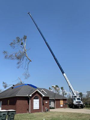 Storm clean up with our crane!