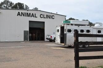 Equine Entrance