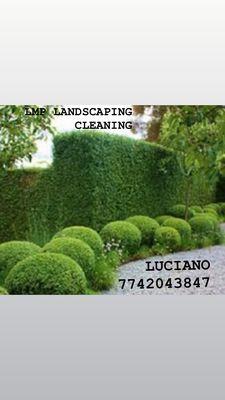 LMP Landscaping Cleaning