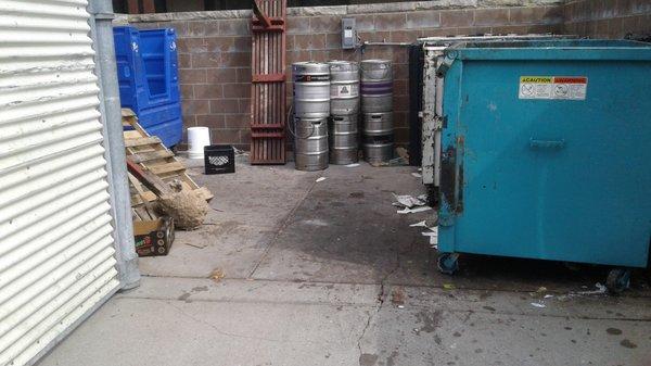 A before shot of the dumpster area at a local restaurant.