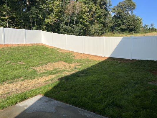 Backyard fence