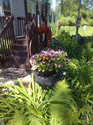 A peek at my yard in Arlington Manor Community.