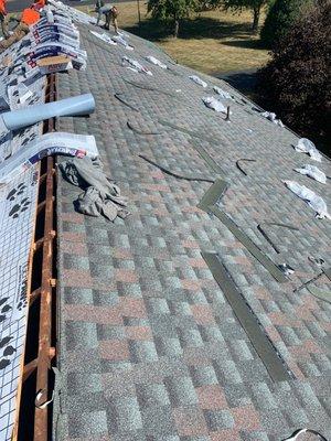 Remove roof and install new GAF  shingle