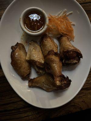 Thai Wings (6)