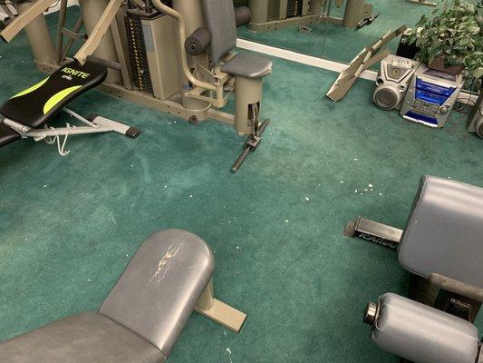 The cleanliness in the "Fitness Center", which is essential just a graveyard of old equipment left behind by former residents.