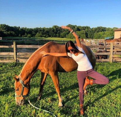 Business owner Gina Durante preparing for our Horse Yoga event in Medford NJ Sept 8th