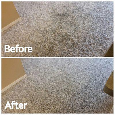 Example Carpet Cleaning Georgetown KY