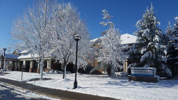 Our winter wonderland entrance