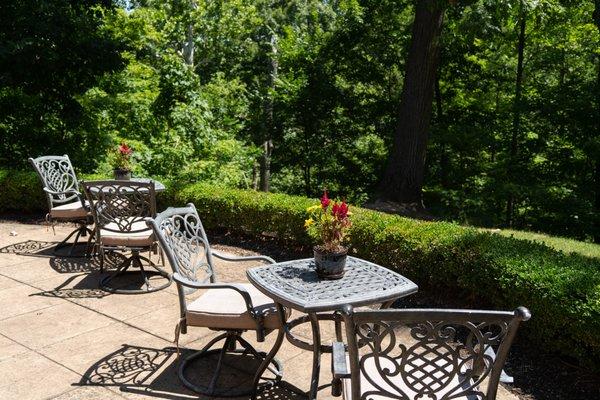 Our back patio overlooking Mill Steam Metropark at The Salon at Docere