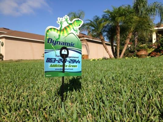 Dynamic Turf Management