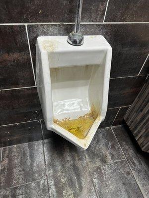 Flushed urinal