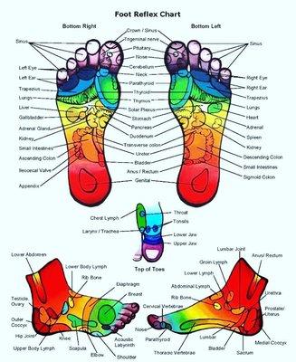 Reflexology is a great foot massage with added knowledge, and relaxing health benefits. Foot Scrub included in a 1 hour reflexology session