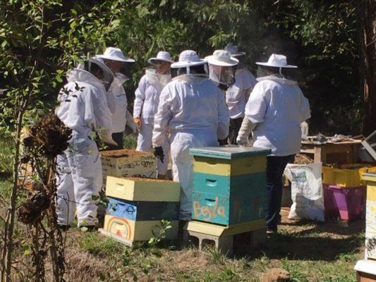 Bee class labs on the farm