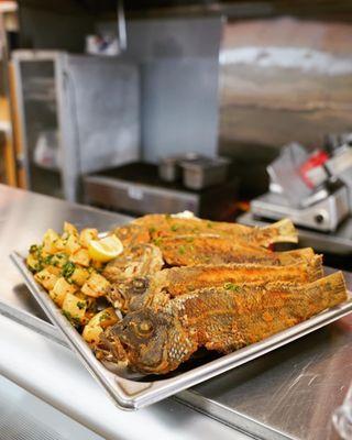 Fried wild caught black sea bass , with a side of garlic cilantro potatoes.