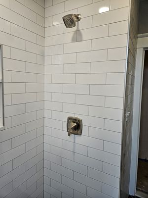 New shower diverter and trim