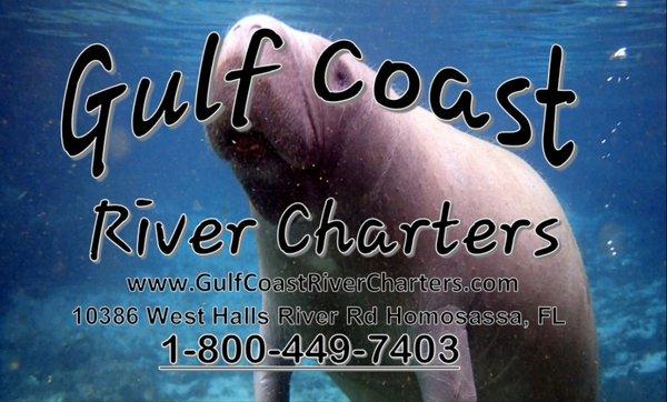 Come swim with the manatees in beautiful Homosassa.