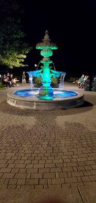 Park fountain at night