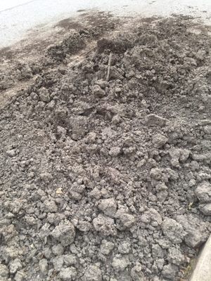 Worst topsoil I've ever purchased