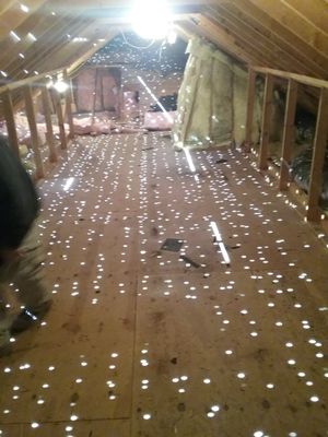 attic or a disco?