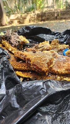 Honey comb removal