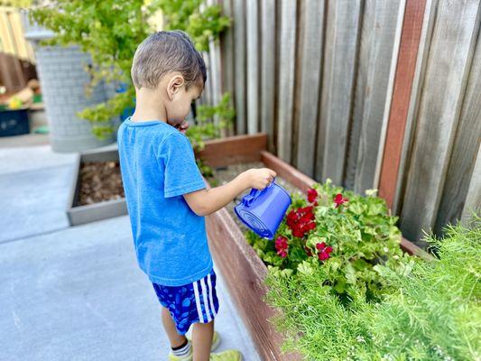 Watering our plants