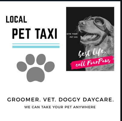 Local Pet Taxi - we can take your pet anywhere!